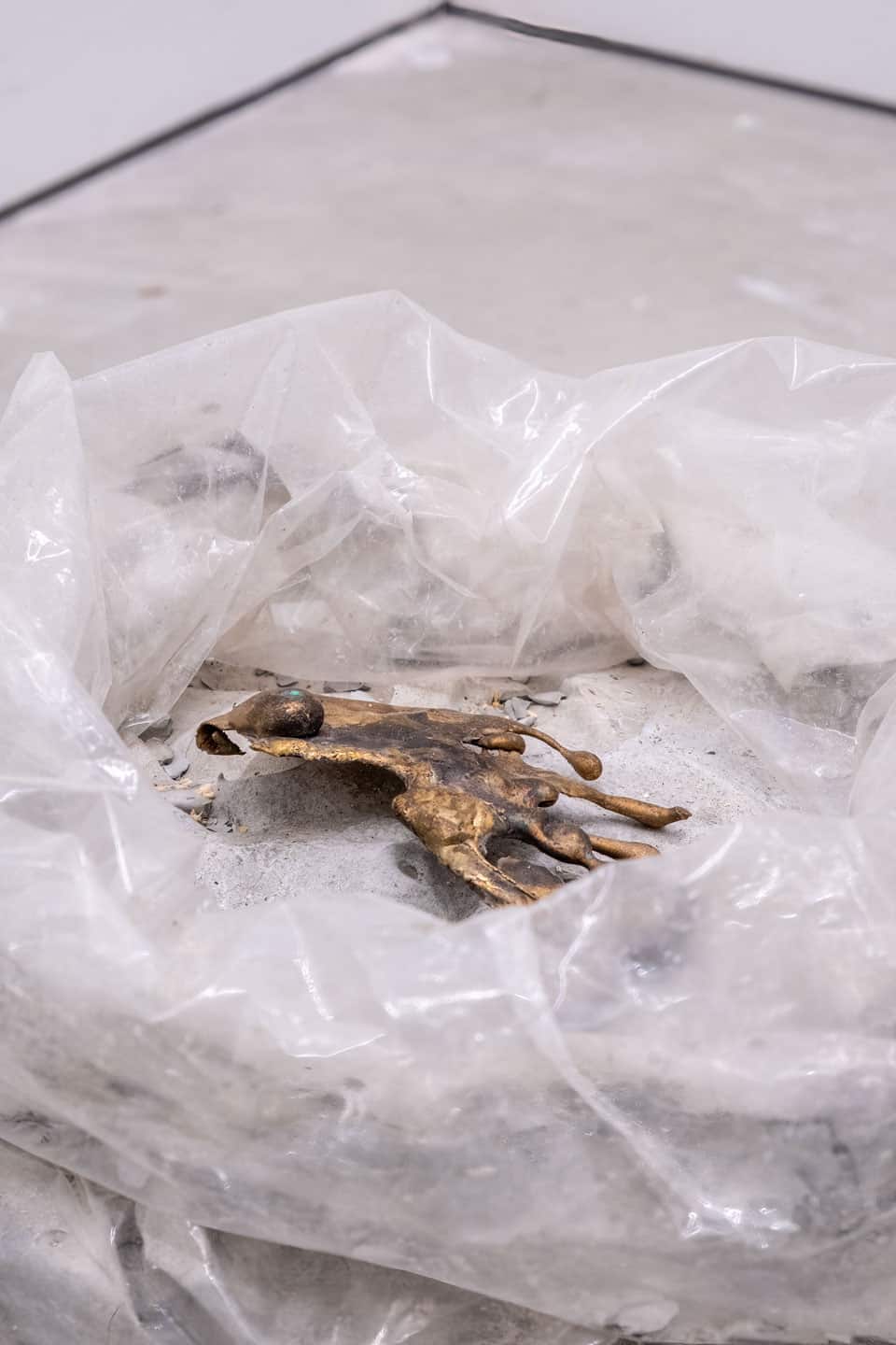 Solarity at NAMARA projects